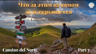 видео: Camino de Santiago. Почему он так популярен. #camino #hiking #theway #travel #spain #nature  картинка: Camino de Santiago. Почему он так популярен. #camino #hiking #theway #travel #spain #nature