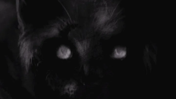 "Old Tom Comes Home" scary folklore story by Craig...