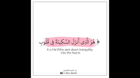 هو الذي أنزل السكينة في قلوب المؤمنين .." ♥️| القارئ احمد النفيس