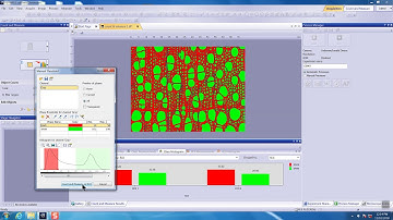 Cellsens DI V2 1 Count and Measure 6 Create amd Modify ROI