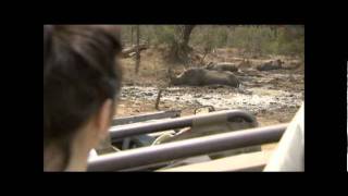 Swaziland Destination Video 2009