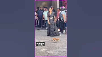 Karisma Kapoor S Love For Cats Shines Through In This Sweet Moment 