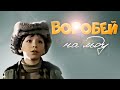 Воробей на льду (1983) | Фильм для семейного просмотра