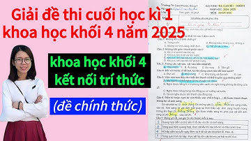 Giải đề thi cuối học kì 1 môn Khoa học lớp 4 kết nối tri thức, đề chính thức năm 2024 - 2025