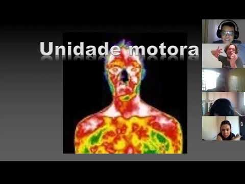 Video: Neurofisiologia Clinica Dell'emicrania Con Aura