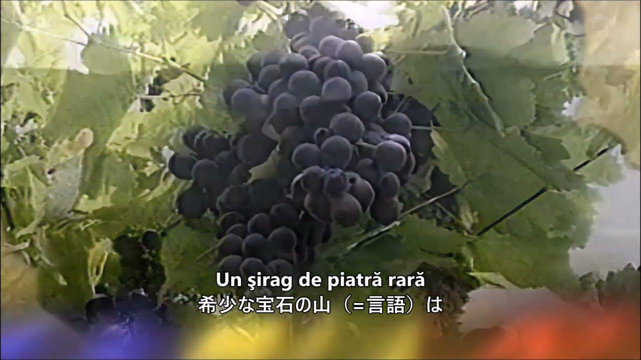 【和訳付き】モルドバ国歌「我らの言語」 