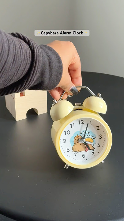 Pinteresty Capybara Alarm Clock ✨🌷🎀#kawaii #aesthetic #desksetup #deskdecor #alarm #clock #cute