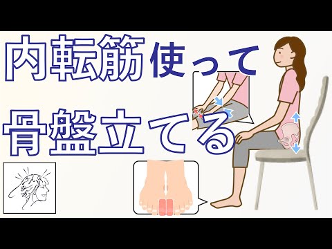 座るだけ。内もも使って【骨盤立てる】コツ