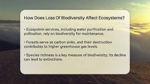 How Does Loss Of Biodiversity Affect Ecosystems? - Ecosystem Essentials