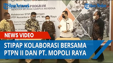 Program Merdeka Belajar Kampus Merdeka, STIPAP Kolaborasi Bersama PTPN II dan PT. Mopoli Raya