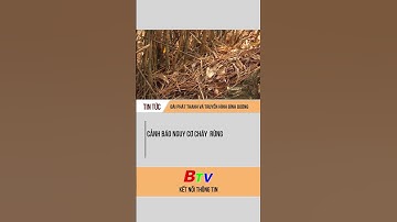 Cảnh báo nguy cơ cháy  rừng