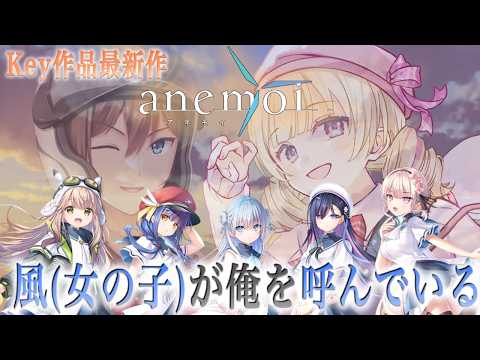【  anemoi / アネモイ  】 Key新作！ロリ好き？いいえ、好きだった人がロリなだけです。主人公とともに風（女の子）を感じて…🌟【 #Vtuber / ＃天彩的配信 】