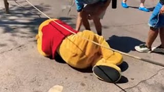 Pooh Falls Down