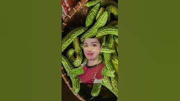 Bitter Ground #short #fun #viralvideo #viral #video #trend #trending #fyp #shorts #shortvideo #fypシ