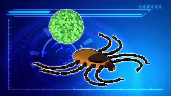 Experts warn tick-borne Powassan virus may increase in the summer