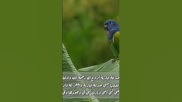 راحة نفسية حالات واتس❤️ #تلاوة_خاشعة #راحه_نفسيه #راحه_للقلب #قرآن #حالات_واتس #حالات_واتساب #طبيعة