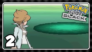 Pokemon Blaze Black #2: Tutorials, man