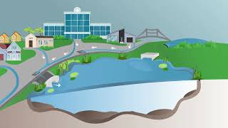 The Importance of Your Neighborhood's Stormwater Pond