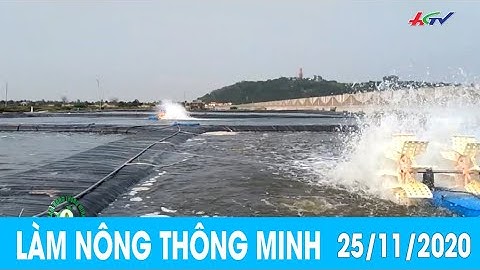 Ứng dụng công nghệ Biofloc nuôi cá rô phi thâm canh