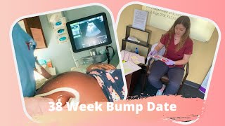 38 Week Bump Date