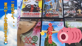 【蚊2】【レトロゲーム】【ps2】【購入品紹介】【プレステ2】今回は一足早く夏のゲームです！人間様から血を吸うあのかゆいゲームを開封するよ！