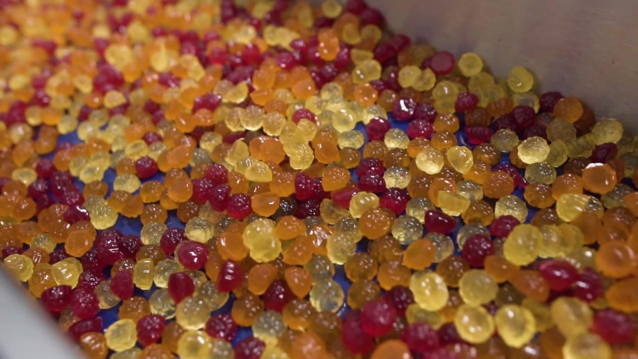 Making Gummy Vitamins: From Ingredients