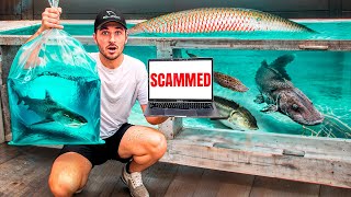 Buying Live Sharks Off Internet... (I got scammed)