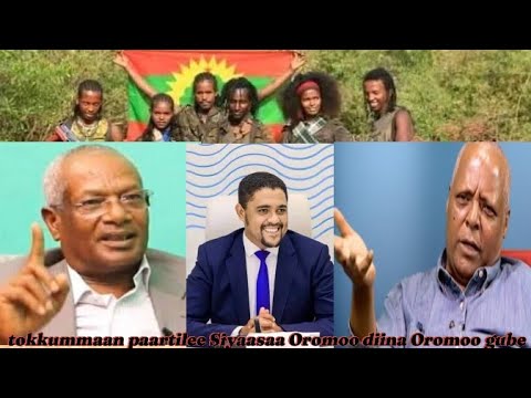 Paartiileen Siyaasaa Oromoo Tokkoomuun Diinoota Oromoo Sodaachise
