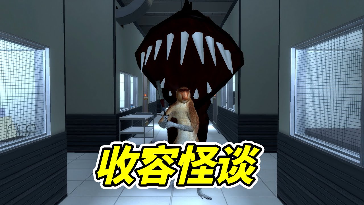 壹天100塊，就只是養狗？- | 勾魂公狒狒