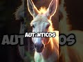 ¿Un burro de 100 mil dólares? 😱 No lo vas a creer…