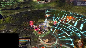 Vale Guardian (3:09) 17FEB18 Solo Druid POV