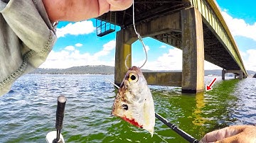 How To Locate & Catch Catfish Easy On Your Lake! Simple Catfish Rig