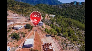 Alanya Bademağacı Köyü'nde Satılık Tarla & Field for Sale in Bademağacı Village Alanya