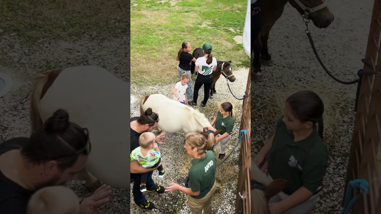 I Festival per lo Sport Veneto 2024 - Rovigo