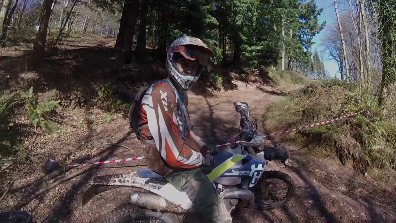 Exmoor forest TRF v1.0