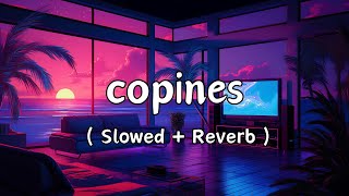 Copines - Aya Nakamura (Slowed + Reverb ) | VIBE AMR