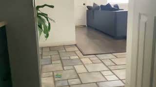 Hawaw Nice To Meet U