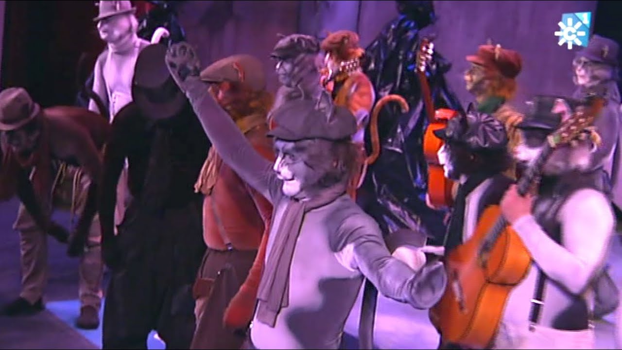 Comparsa Los gatos callejeros. SEMIFINALES del Carnaval Cádiz 2013