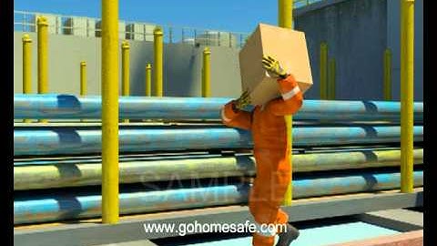 Go Home Safe -Manual Handling -- Back Injury