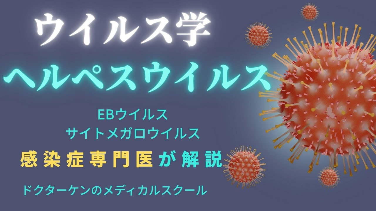 【だれでもわかるウイルス学】EBウイルス、サイトメガロウイルス
