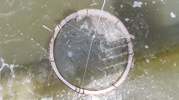 CHIA SẺ THỰC TẾ - NUÔI TÔM CHO VÙNG NUÔI ĐỘ MẶN THẤP Ở SÓC TRĂNG