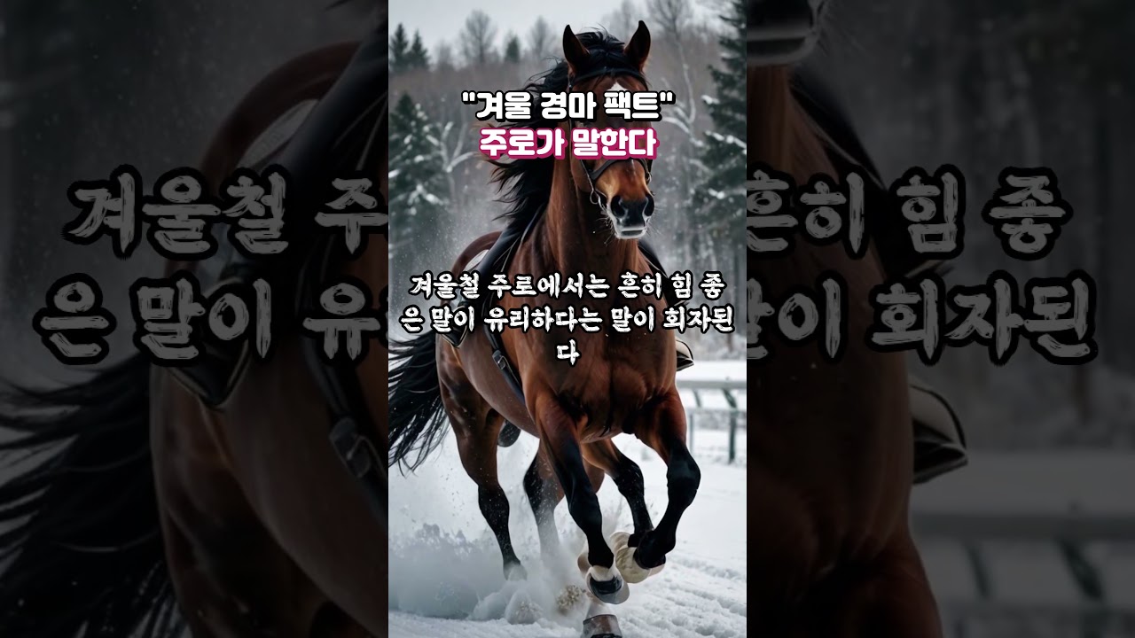 겨울 경마 팩트? 주로가 말한다