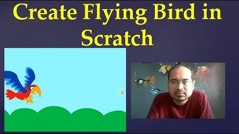 11. Create flying bird in scratch