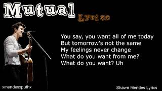 Shawn Mendes  - Mutual  ( Lyrics )