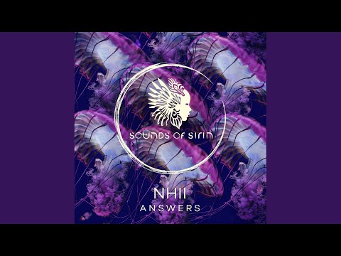 No Answer (Paax (Tulum) Remix)