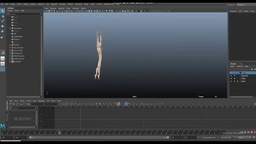 Animation Process (Blocking VS Spline)
