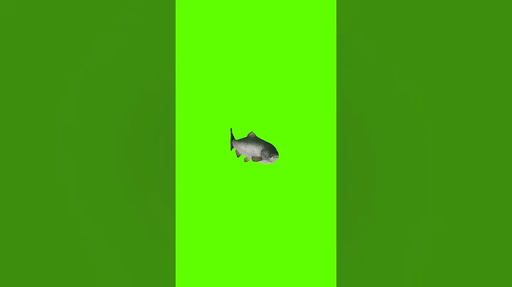 3D Fish Swim Green Screen #shorts#animals  #greenscreen#cartoon  #animation #background#short
