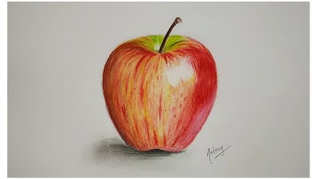 How to draw a realistic apple for beginners | step by step tutorial with colour pencils.