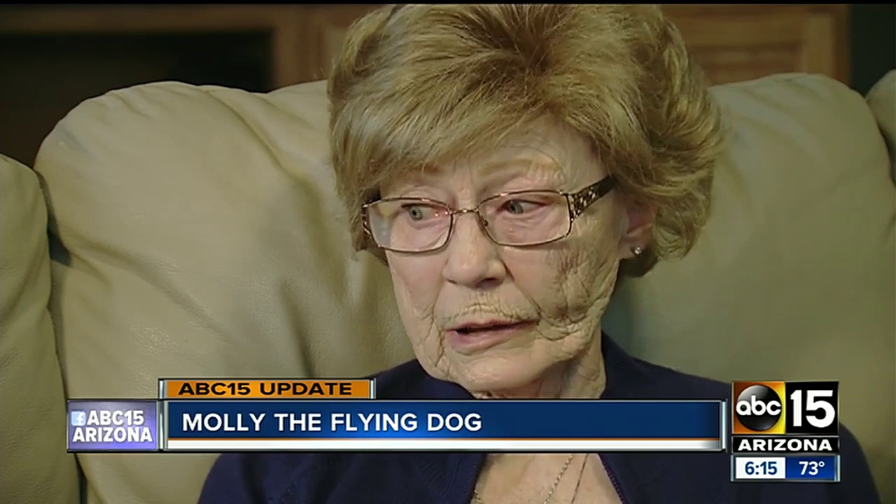 UPDATE Molly the flying dog to be buried with owner YouTube