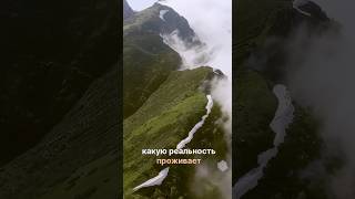 Только сознание определяет какую жизнь ты проживаешь #сознание #цельжизни #клубновоесознание